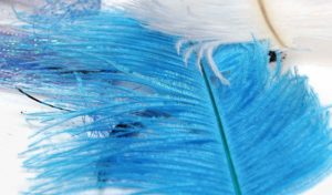 Ostrich Fly Tying Feathers.