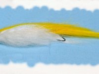 HLS Joe Penich pike muskie 12032016 (12)ST