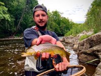 Brandon on The Upper Credit River with a pretty Resident Brown Trout ...