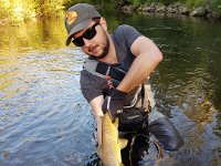Another look at Brendon's Upper Credit River Resident Brown Trout ...