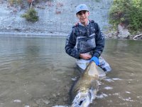 Another look at Isaac's Lower Credit River Chinook Salmon ...