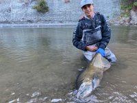 Isaac's Lower Credit River Chinook Salmon ...