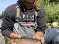 Jake's Middle Grand River Resident Rainbow Trout ...