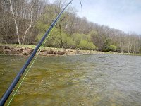 Swinging for Spring Steelhead Dropbacks on the Maitland River ...