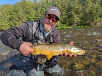 A Great Upper Grand River Brown Trout ...