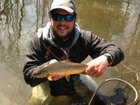 Brandon's Upper Credit River Resident Brown Trout ...