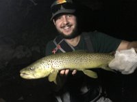 Brandon's Upper Credit River "Night-Time Mouse" Brown Trout ...