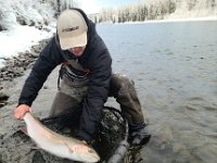 Another of Ethan's AWESOME British Columbia Steelhead ..