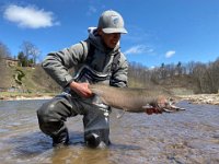 Another of Isaac's Opening Weekend Credit River Steelhead ...