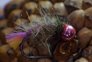 Grayling Bug