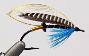 Joe-Penich-flies-Blue-Charm