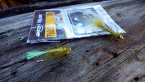 Airflo Polyleader 10ft Clear Floating with Tomsters Flies BBB