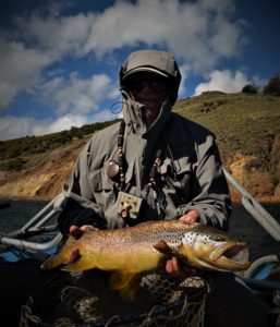 Patagonia Brown Trout - January 2017.