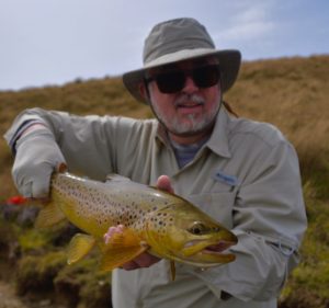 New Zealand Loganburn Brown Trout.