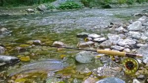 Goran river Gradac near city of Valjevo central Serbia EEE