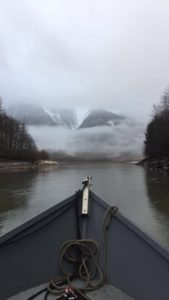 Early Morning on a Skeena River Tributary.