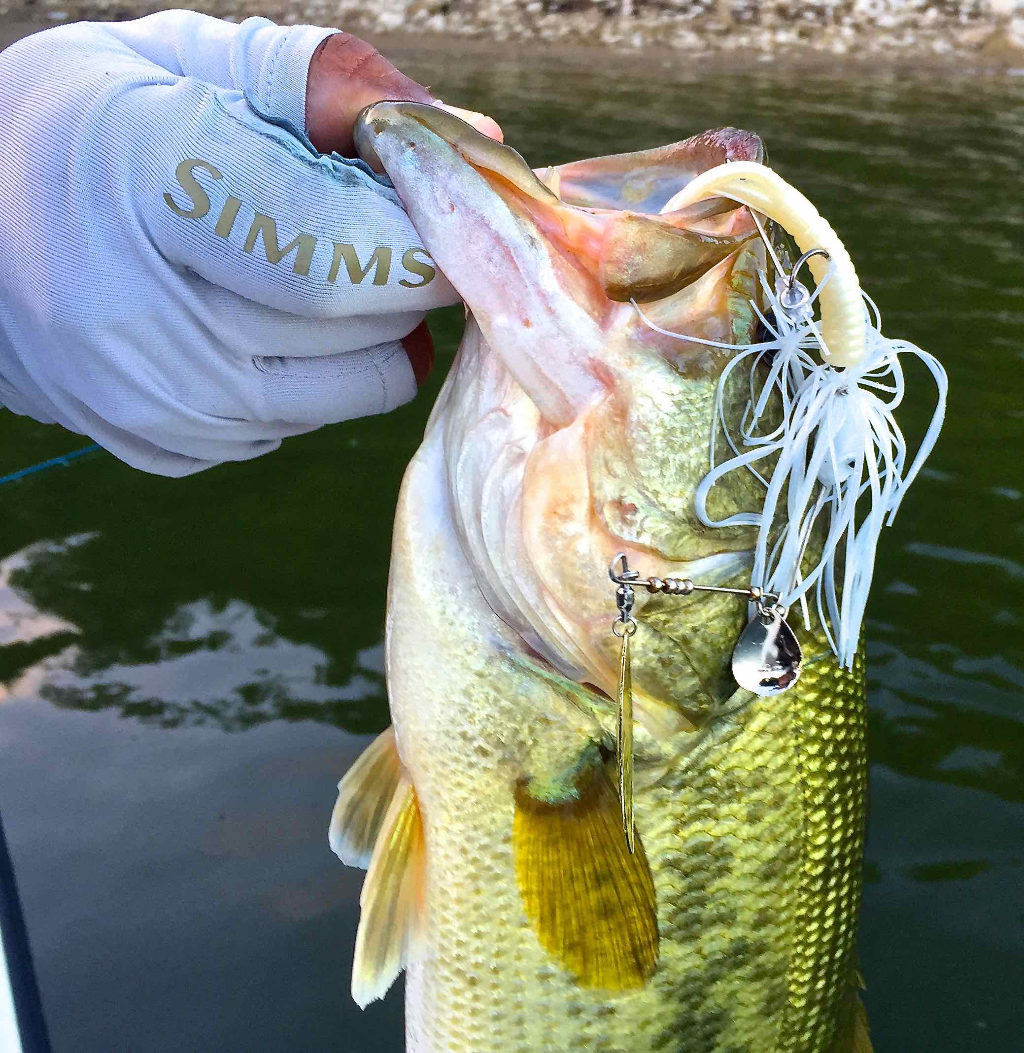 Fishing Sun Gloves for Fresh or Saltwater – The First Cast – Hook, Line and  Sinker's Fly Fishing Shop