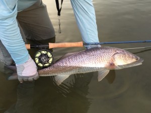 Hatch Reel Echo Rod Florida Redfish