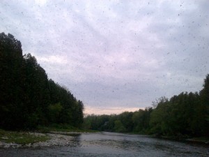 Hendrickson Hatch on the Grand River Below Fergus