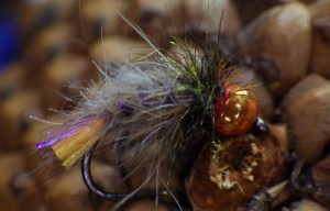 Brown Trout Bug