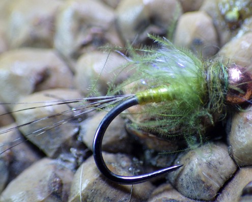 Olive Body Quill Nymph