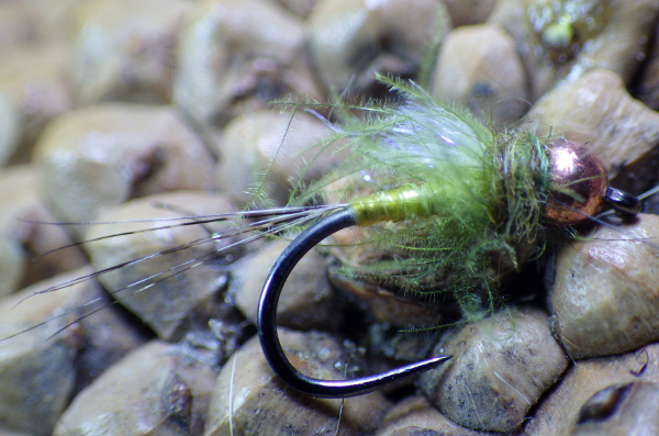 Olive Body Quill Nymph