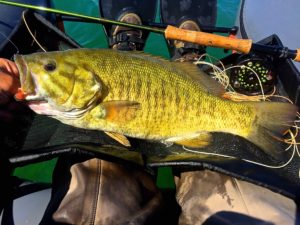 Joe Lake Erie Smallmouth Bass from Outcast Stealth Pro July 2016 AAA