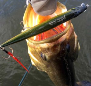 largemouth-bass-vision-one-ten-megabass-aaa