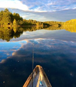 ... North of Sault Saint Marie ...