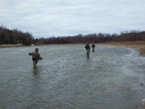 Steelhead Tournament - Battling the Wind on the Saugeen River.