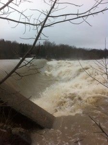 The Saugeen River at Denny's Dam on April 14th at 11m