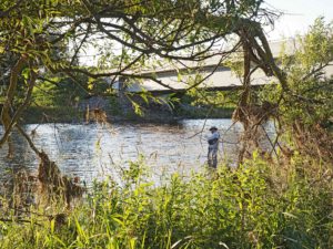 Fly Fishing the Upper Grand River ...