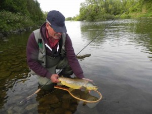 Vince on the Grand River with a Beautiful Brown Trout