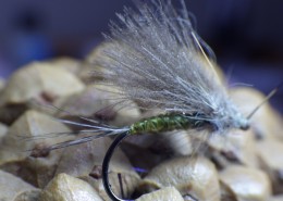 Euro Olive Dry Fly