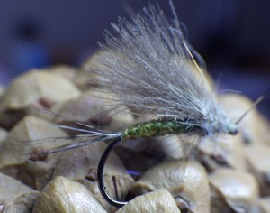 Euro Olive Dry Fly