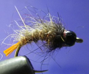 nz caddis larva