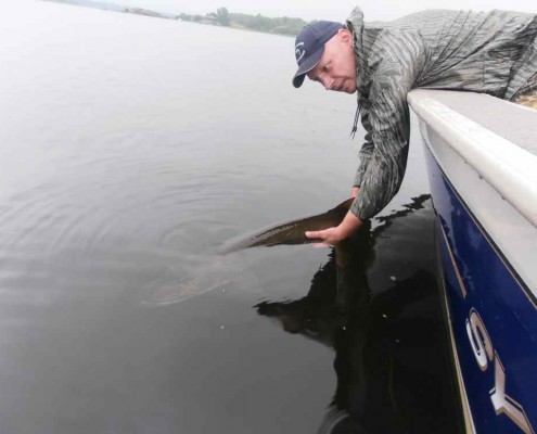Andy Pappas Musky Release.