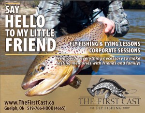 Web Ad Say Hello Brown Trout Fly Fishing