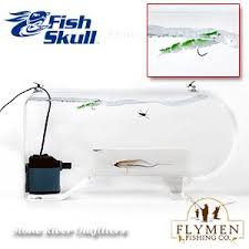 Flymen Fishing Company Fish Skull Swim Tank B
