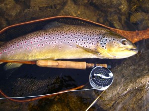 Grand River Brown Trout Bamboo Fly Rod Hardy Fly Reel Resized for Web