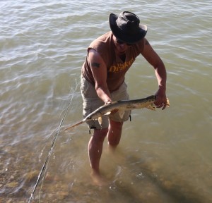 Brian Primeau Gar Pike Lake St Clair Sarnia