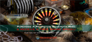 Behemoth Rebate carousel-redington-reel3