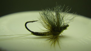 Flies Ted Shand Tying the Upside Down Mayfly and Spent Caddis A