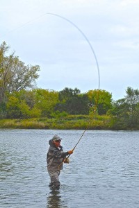 Peter Charles Spey Casting AA