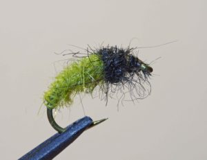 Ted Shand - Grand River Caddis Fly.