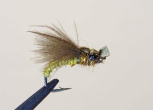 Ted Shand - Grand River Caddis Fly.