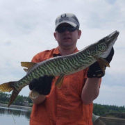 Upper Foley Island Rice Lake Tiger Musky AA