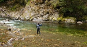 Fly Fishing for Brown Trout in New Zealand ...