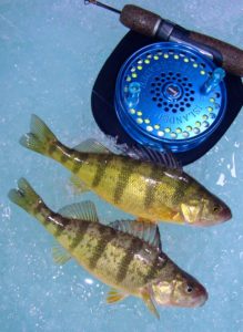 A Custom Islander IS Steelheader used for Ice Fishing for Lake Simcoe Perch ...