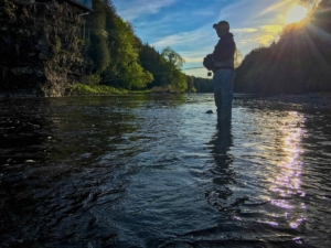 An Evening Fly Fishing The Upper Grand River ...